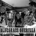 Bluegrass Guerilla
